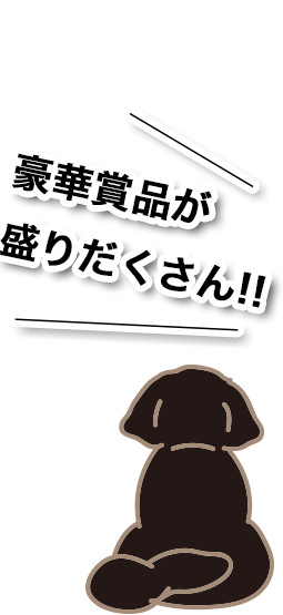 豪華賞品が盛りだくさん